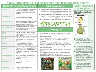 Exploring Plants, Trees, and Habitats: Educational Insights