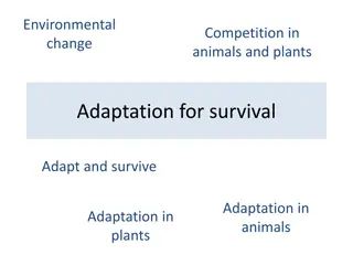 Adaptation Strategies in Animals and Plants for Survival in Changing Environments