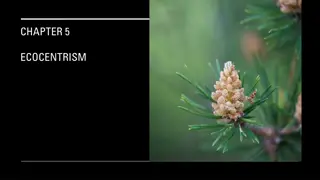 Ecocentrism: Aldo Leopold's Land Ethic and Critiques of Conservationism
