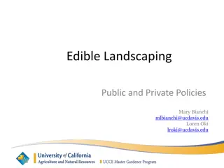 Land Use Policies and Restrictions for Edible Landscaping in Urban Areas