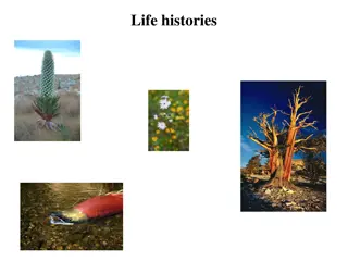 Life Histories: Allocation of Time and Energy