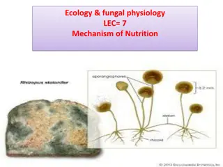 Fungal Nutrition Mechanisms