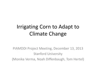 Irrigating Corn for Climate Change Adaptation Research