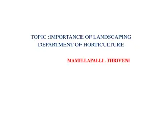 Importance of Landscaping Department of Horticulture at Mamillapalli Thriveni