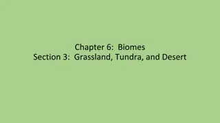 Grassland, Tundra, and Desert Biomes: An Overview