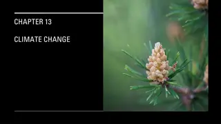Climate Change: Earth's Rapid Warming and Human Impact