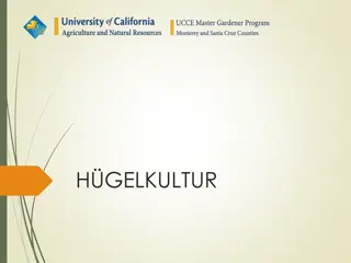 What is Hugelkultur? Benefits, Challenges, and How to Build
