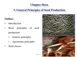 Principles of Seed Production: Genetic and Agronomic Insights