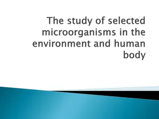 Importance of Microbial Diversity in Agroecosystems