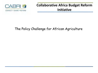 African Agriculture Policy Challenges and Reforms