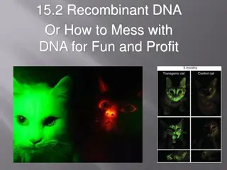 Recombinant DNA: Harnessing Genetic Modification for Advancements