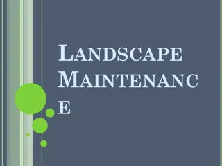Landscape Maintenance and Tree Care Guide