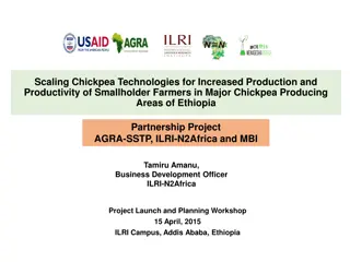 Empowering Chickpea Farmers for Increased Production in Ethiopia