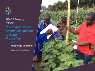 Enhancing Cotton Production: Public and Private Sector Collaborations in Harare Meeting