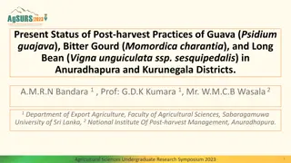 Post-harvest Practices Study in Anuradhapura and Kurunegala Districts