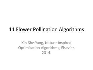 Flower Pollination Algorithms in Optimization