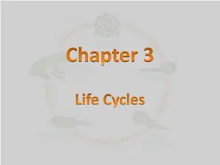 Life Cycles: Plant and Animal Development