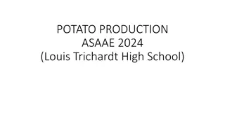 Potato Production Guide: Soil, Water, Cultivar Selection, Plant Population, and Pest Control