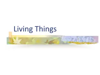 Living Things: Characteristics and Classification
