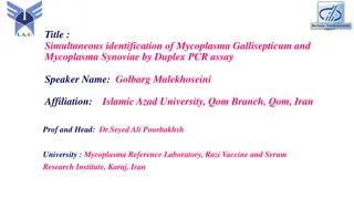 Simultaneous Identification of Mycoplasma Gallisepticum and Mycoplasma Synoviae using Duplex PCR Assay