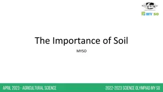 The Vital Role of Soil in Our Ecosystem