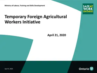 Ministry of Labour Temporary Foreign Agricultural Workers Initiative Overview