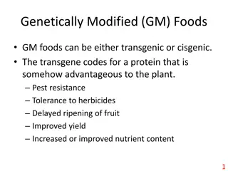 Genetically Modified (GM) Crops and Their Creation Process