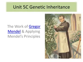 Gregor Mendel and the Study of Genetic Inheritance