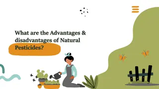 Pros and Cons of Natural Pesticides