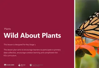 Engaging Key Stage 1 Learners in Wild Plant Exploration