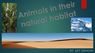 Animals in Natural Habitat: Climate Zone Impacts on Adaptations