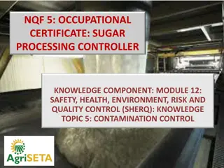 Effective Pest Control Strategies in Sugar Processing Factories