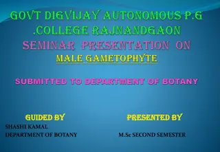 Male Gametophyte Anatomy and Development in Botany Studies