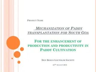 Mechanization of Paddy Transplantation for Enhanced Production in South Goa