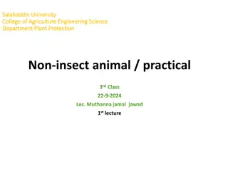 Millipedes and Centipedes in Plant Protection