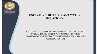 Concept of Water Potential in Plants
