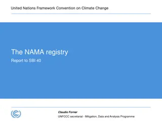 Overview of NAMA Registry Report - Development, Challenges, and Opportunities