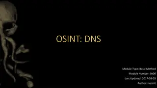 Fundamentals of OSINT & DNS