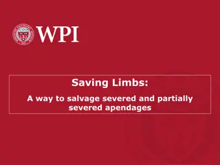 Innovative Limb Salvage System for Trauma Care Transformation
