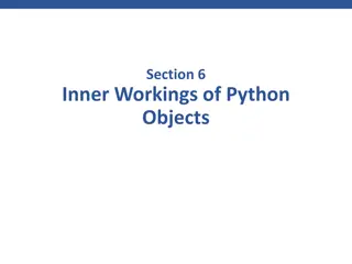 Inner Workings of Python Objects