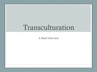 Transculturation in Latin American Culture