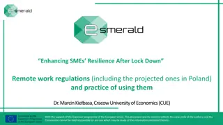 Enhancing SME Resilience Through Remote Work Regulations in Poland