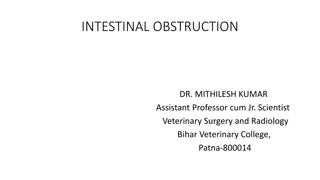 Intestinal Obstruction in Veterinary Medicine