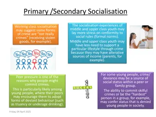 Socialisation Experiences and Crime Among Youth