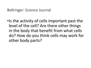 Cell Organization in Multicellular Organisms