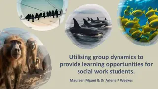 Utilising Group Dynamics for Social Work Students
