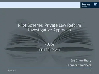 Private Law Reform Investigative Approach for Domestic Abuse Survivors