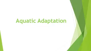 Aquatic Adaptation in Vertebrates