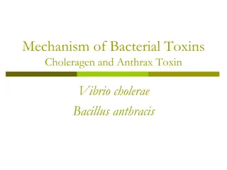 Mechanism of Bacterial Toxins: Cholera and Anthrax Insights