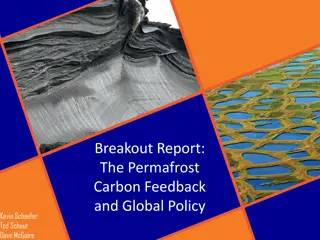 Permafrost Carbon Feedback and Global Policy Implications
